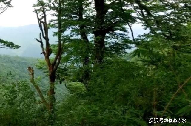 抖音为什么不能用微信支付？游戏画面